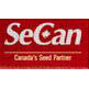 Secan logo and link