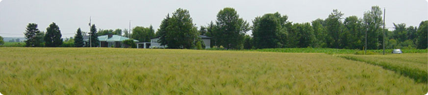 main banner image of a Nevico field 